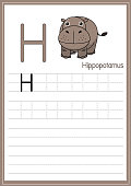 Vector illustration of Hippopotamus isolated on a white background. With the capital letter H for use as a teaching and learning media for children to recognize English letters Or for children to learn to write letters Used to learn at home and school.