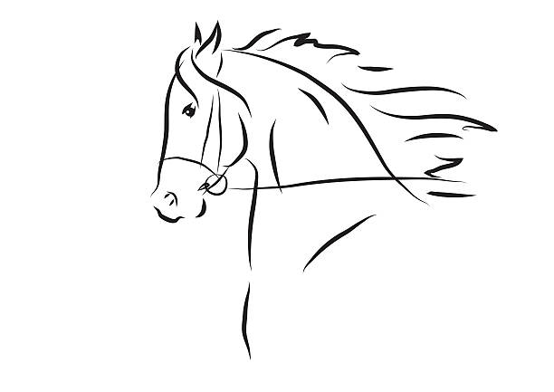 Vector Illustration Of Horse Head Art