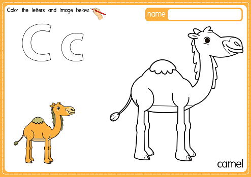 Vector illustration of kids alphabet coloring book page with outlined clip art to color. Letter C for Camel.