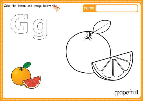 Vector illustration of kids alphabet coloring book page with outlined clip art to color. Letter G for Grapefruit.