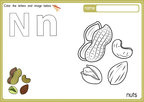 Vector illustration of kids alphabet coloring book page with outlined clip art to color. Letter N for  Nut.