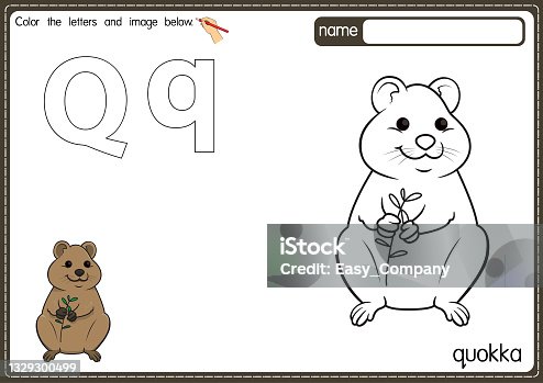 istock Vector illustration of kids alphabet coloring book page with outlined clip art to color. Letter Q for  Quokka. 1329300499