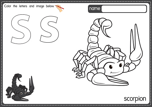 Vector illustration of kids alphabet coloring book page with outlined clip art to color. Letter S for Scorpion.