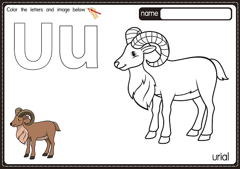 Vector illustration of kids alphabet coloring book page with outlined clip art to color. Letter U for Urial.