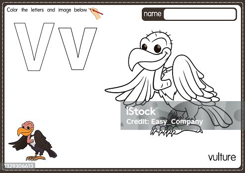 istock Vector illustration of kids alphabet coloring book page with outlined clip art to color. Letter V for Vulture. 1329306613