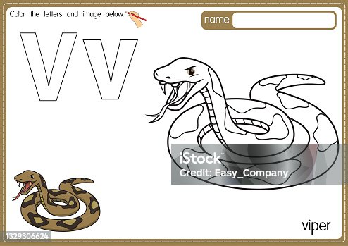 istock Vector illustration of kids alphabet coloring book page with outlined clip art to color. Letter V for Viper. 1329306624