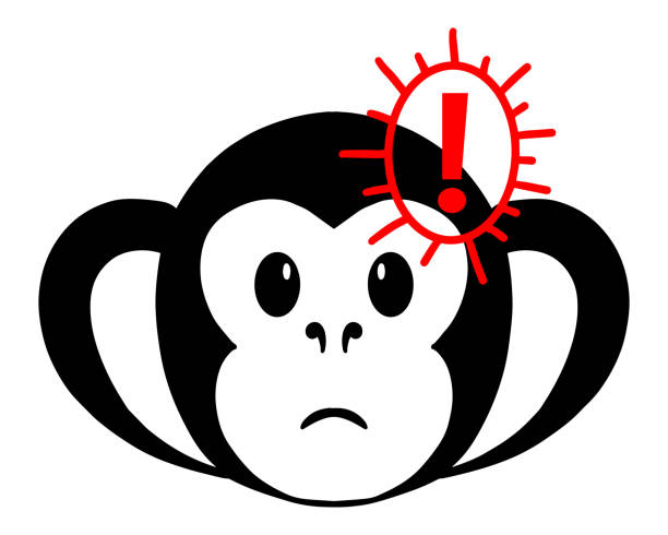 vector illustration of monkey icon with red exclamation point - symbol of danger and alertness. new monkeypox 2022 virus in simple flat style isolated on white background - monkey pox 幅插畫檔、美工圖案、卡通及圖標