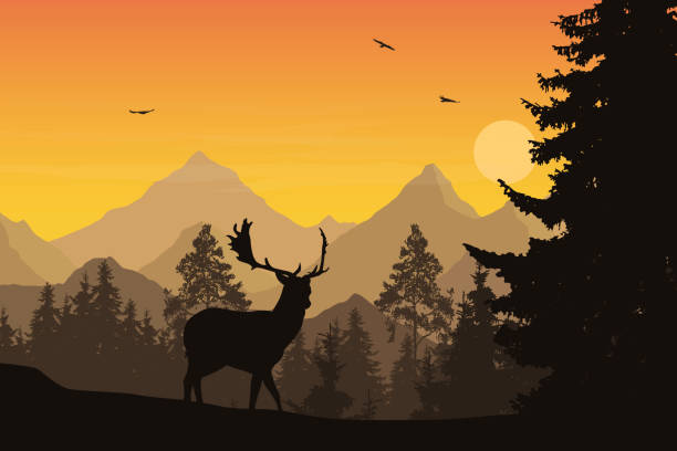 Vector illustration of mountain landscape with forest and deer under orange sky with clouds, sun and flying birds Vector illustration of mountain landscape with forest and deer under orange sky with clouds, sun and flying birds autumn silhouettes stock illustrations