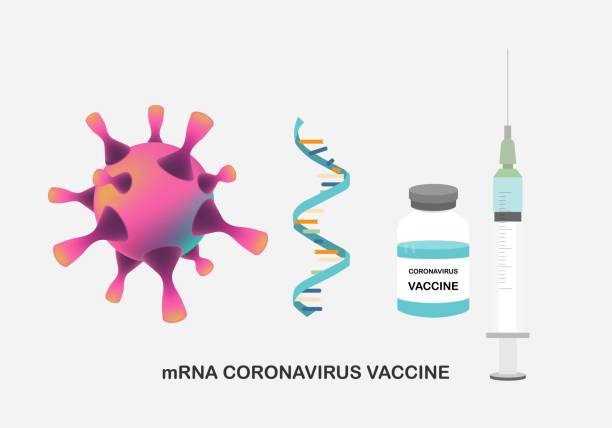 illustrations, cliparts, dessins animés et icônes de illustration vectorielle du vaccin d’arnm contre le coronavirus - covid 19 vaccin