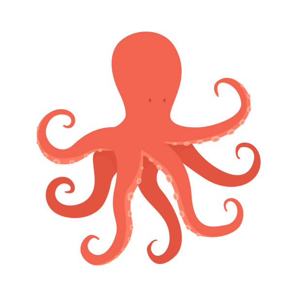 Vector illustration of octopus isolated on white background. vector art illustration