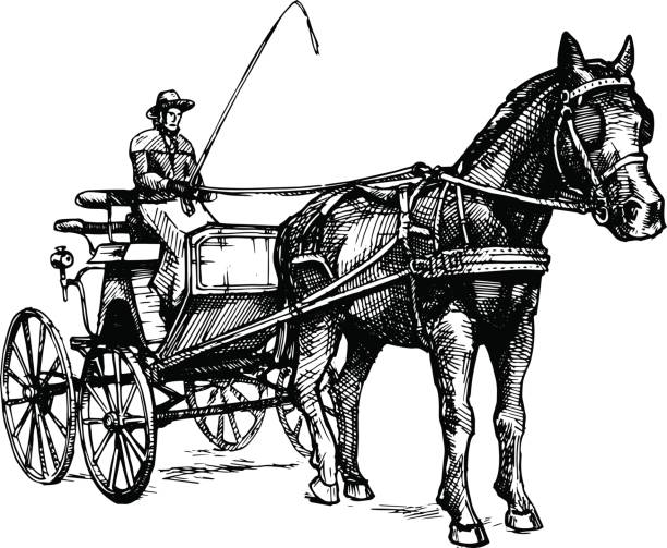 Vector illustration of open carriage Vector hand drawn illustration of spider phaeton. Open sporty carriage drawn by one horse. Black and white, isolated on white. In vintage engraved style. carriage stock illustrations