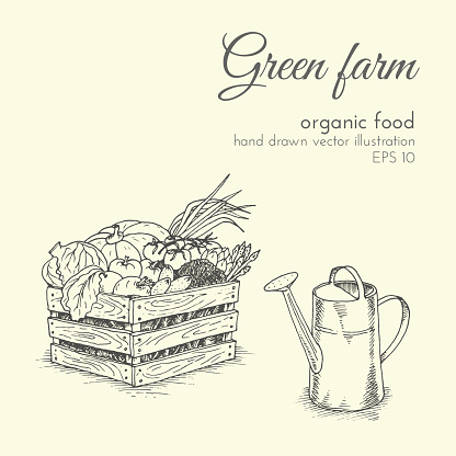 vector illustration of organic products. sketch farmer eco harvest vegetables