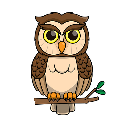 Vector illustration of owl isolated on white background.