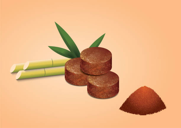 illustrations, cliparts, dessins animés et icônes de illustration vectorielle du sucre de palme, de la canne à sucre et du sucre en poudre sur fond brun clair - fond studio minimaliste beton