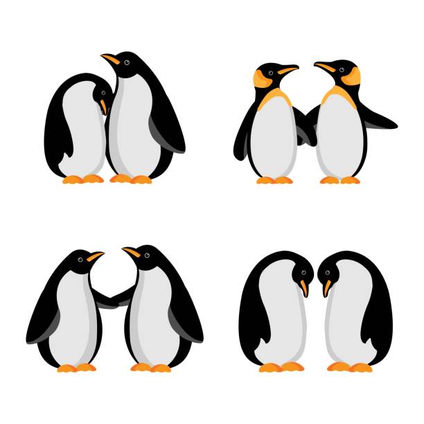 stockillustraties, clipart, cartoons en iconen met vector illustratie van penguin en baby in cartoon stijl. - happy couple cold