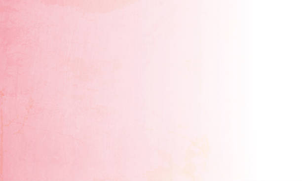 ilustrações de stock, clip art, desenhos animados e ícones de vector illustration of pink and white empty grungy background - pink