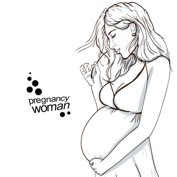 векторная иллюстрация беременной женщины копировать пространство - drawing ...