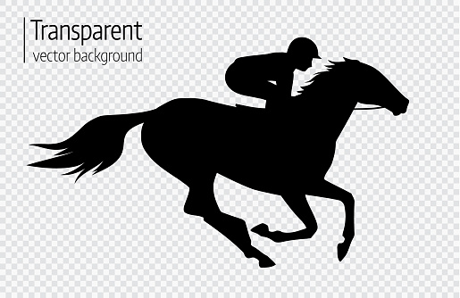 Vector illustration of race horse with jockey. Black isolated silhouette on transparent background. Equestrian competition symbol.