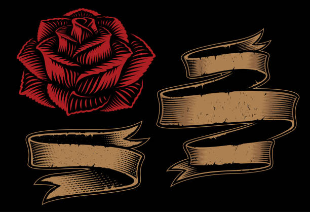 ilustrações de stock, clip art, desenhos animados e ícones de vector illustration of ribbons and rose - rock rose