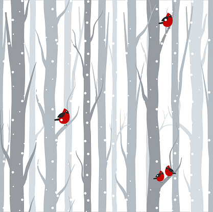 Vector illustration of seamless pattern with grey trees birches and red birds in winter time with snow in flat cartoon style.