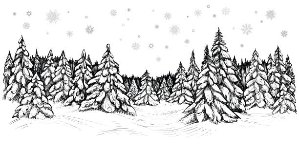 Vector illustration of snowy firs. Winter forest covered with the snow, hand drawn sketch. Winter coniferous trees forest covered with the snow, hand drawn sketch. Black and white vector illustration of snowy firs. winter drawings stock illustrations