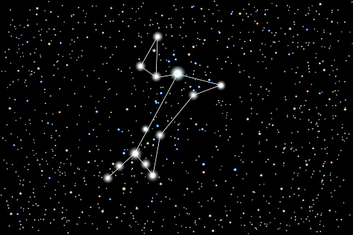 Vector illustration of the constellation Great Dog on a starry black sky background.