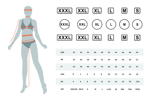 Vector Illustration Of The Dimensions Of A Female Body Stock ...