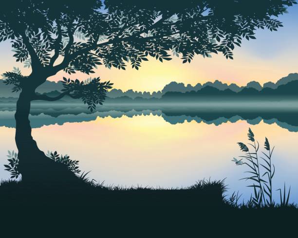 Vector illustration of the lake Vector illustration of landscape with a lake at dawn pond stock illustrations