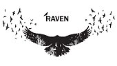 Vector illustration of the raven silhouette with the fluttering wings. Double exposure effect.