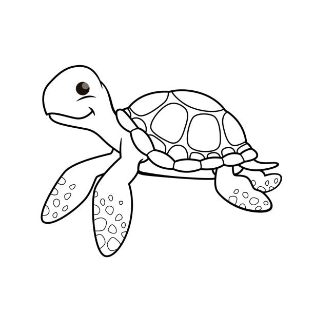 stockillustraties, clipart, cartoons en iconen met de illustratie van de vector van schildpad die op witte achtergrond wordt geïsoleerd. voor kinderen kleurboek. - voeten in het zand