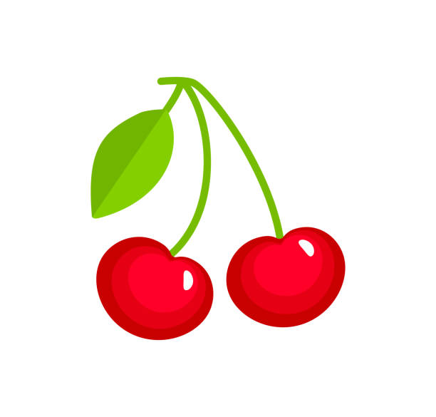 Vector illustration of two red ripe cherries with stem & leaves. Flat icon of organic fresh berries. Isolated object Vector illustration of two red ripe cherries with stem & leaves. Flat icon of organic fresh berries. Isolated object on white background cherry stock illustrations