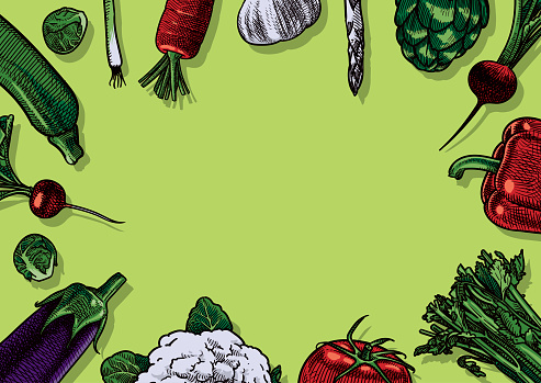 Vector illustration of various vegetables covering its sides