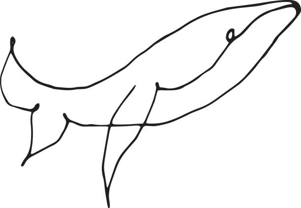 Vector illustration of whales. Simple doodle, tattoo. Hand draw sea animal  simple fish drawings stock illustrations