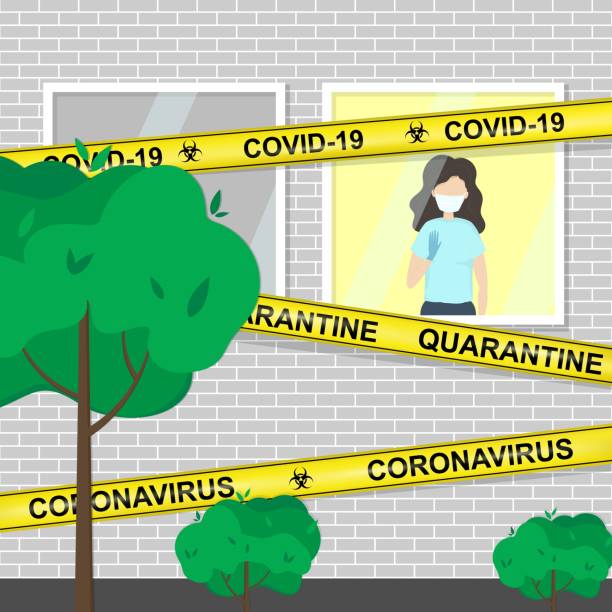 ilustrações de stock, clip art, desenhos animados e ícones de vector illustration of young woman in medical face mask in hospital window, coronavirus covid-19 quarantine. - doctor wall