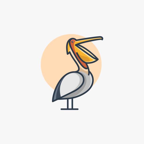 stockillustraties, clipart, cartoons en iconen met vector illustratie pelikaan poseren eenvoudige mascotte stijl. - lichaamsdeel van dieren
