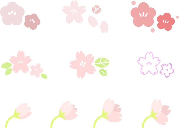▼桜のベクトルイラストセット - 桃の花点のイラスト素材／クリップアート素材／マンガ素材／アイコン素材