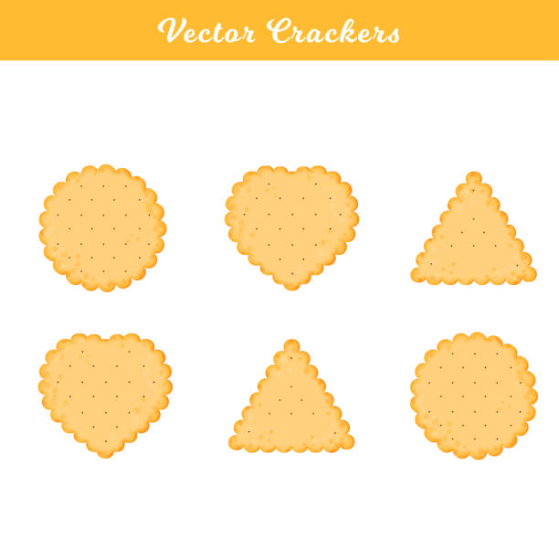 Vector Illustration. Set of health crackers. Isolated cookie vector art illustration