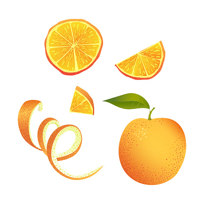 Vector illustration. Set of parts of orange.