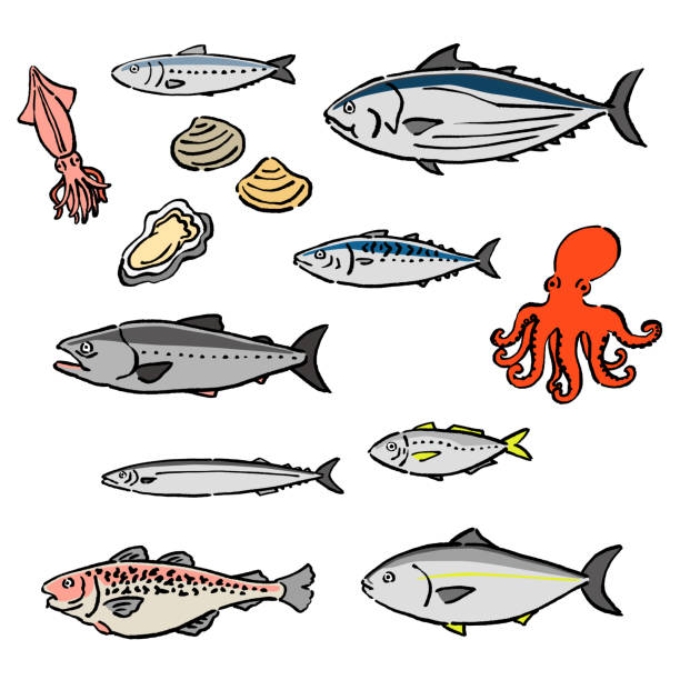 illustrazioni stock, clip art, cartoni animati e icone di tendenza di illustrazione vettoriale set di pesci stagionali in stile pittura a inchiostro - tonnetto