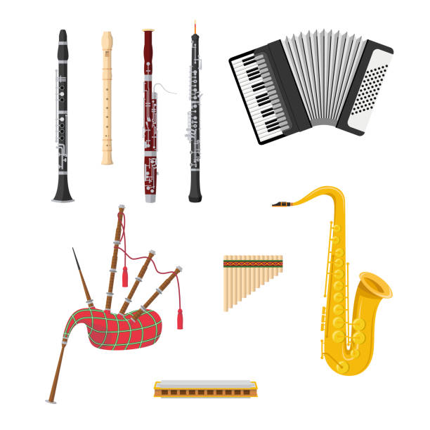 bildbanksillustrationer, clip art samt tecknat material och ikoner med vektor illustration uppsättning träblåsinstrumentet musikinstrument i tecknad stil isolerad på vit bakgrund - flöjt