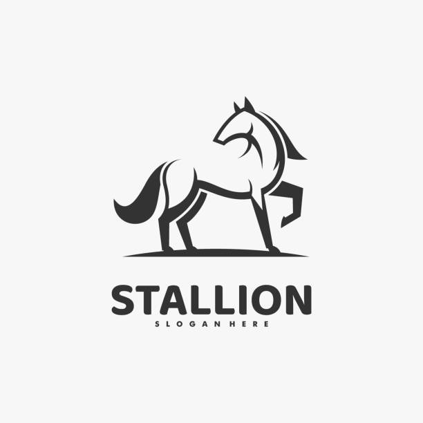 Vector Illustration Stallion Line Art Style. Vector Illustration Stallion Line Art Style. horse symbols stock illustrations