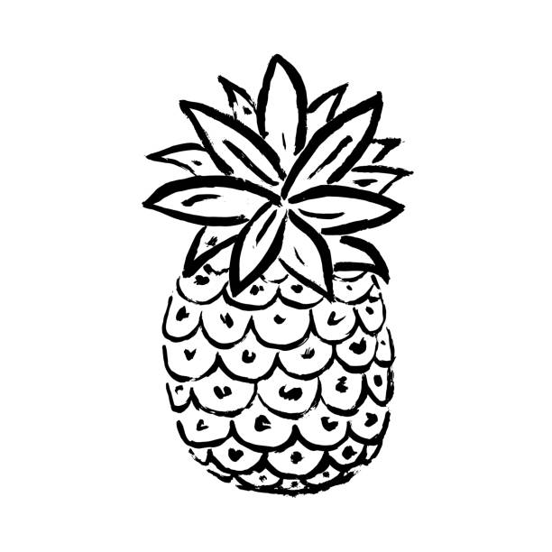 Vector Illustration. Summer pineapple. Tropical decorative fruit icon. Hand draw paint ananas vector art illustration