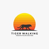 Vector Illustration Tiger Walking With Sunset Silhouette.