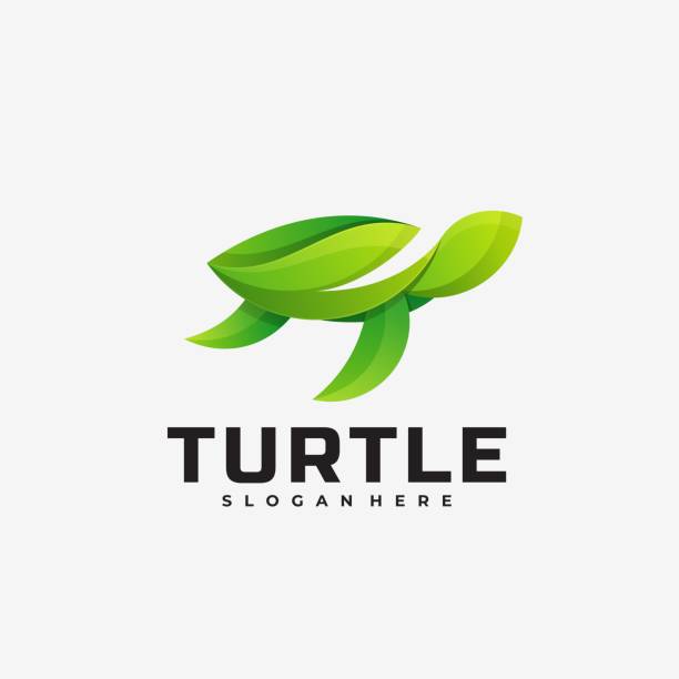 illustrazioni stock, clip art, cartoni animati e icone di tendenza di carattere di riempimento della tartaruga tartaruga stile colorato. - tartarughe