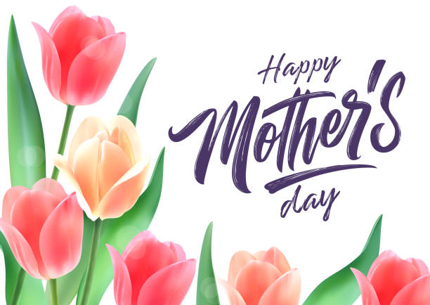 Vector illustration. Happy Mother's Day handwritten lettering. Illustration with tulips  Happy Mother's Day typography vector design for greeting cards and poster. mothers day background stock illustrations