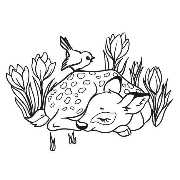 Vector illustration with cute sleeping deer with a blue bird and with flowers. Vector illustration with cute sleeping deer with a blue bird and with flowers. Isolated on white background. Outlined for coloring book. young deer stock illustrations