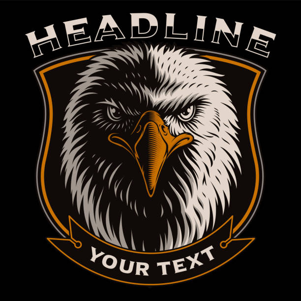 Vector illustration with head of eagle Badge with head of eagle on the dark background. text is on the separate group. Color Version. bills patriots stock illustrations