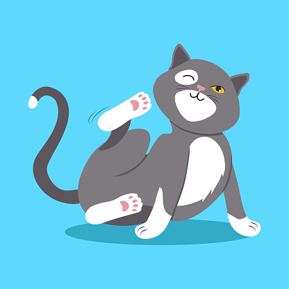 Vector illustration with the image of a gray cat.