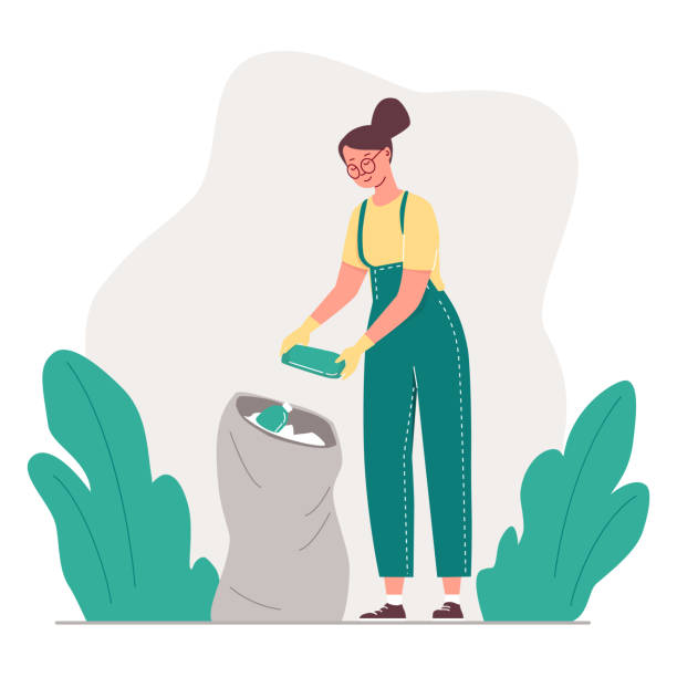 Vector illustration Woman collecting garbage. Public activities to clean up the environment. Volunteer collects garbage in a garbage bag. Vector illustration Woman collecting garbage. Public activities to clean up the environment. Volunteer collects garbage in a garbage bag kitten litter stock illustrations