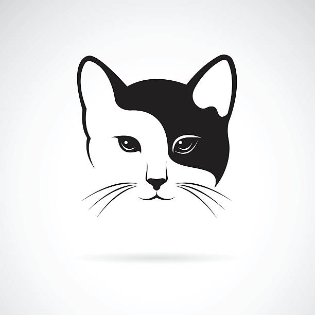 Vector image of an cat face design Vector image of an cat face design on white background. animal whisker stock illustrations